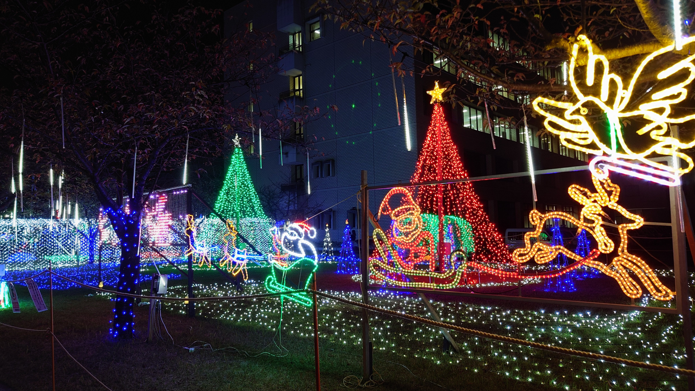 R7年度清武町イルミネーション