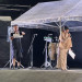 ⑩MC　コレナガカオリさん＆トクマルシンゴ.jpeg