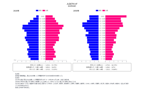 人口構成分析 - 人口ピラミッド.png