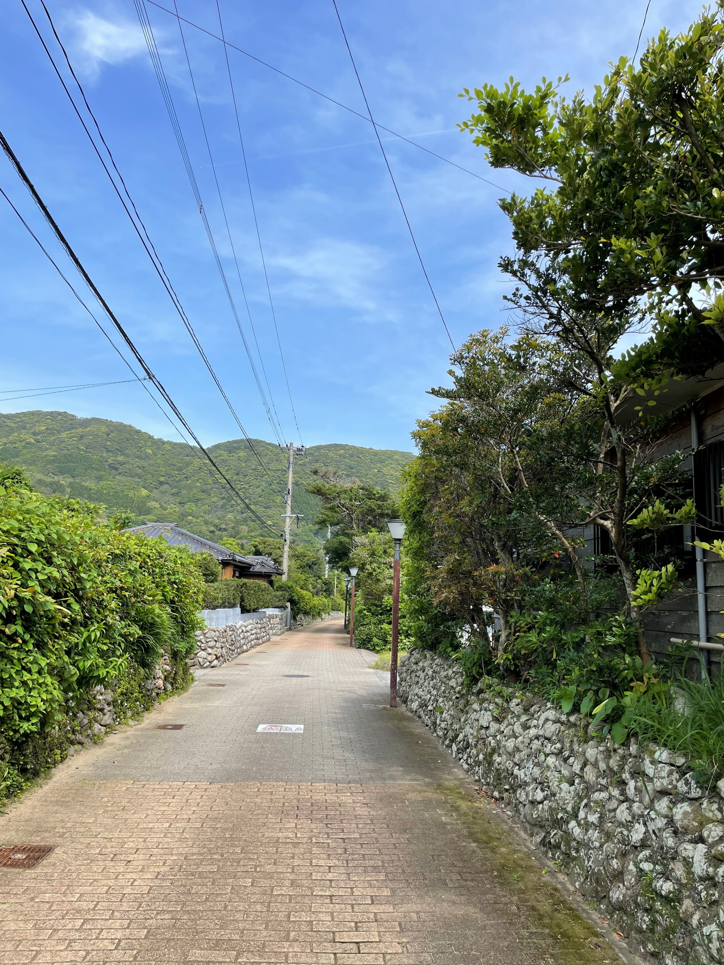 手打武家屋敷跡