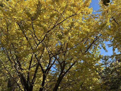 S__78692375_0.jpg