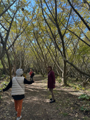 LINE_ALBUM_観光事業_241205_2.jpg