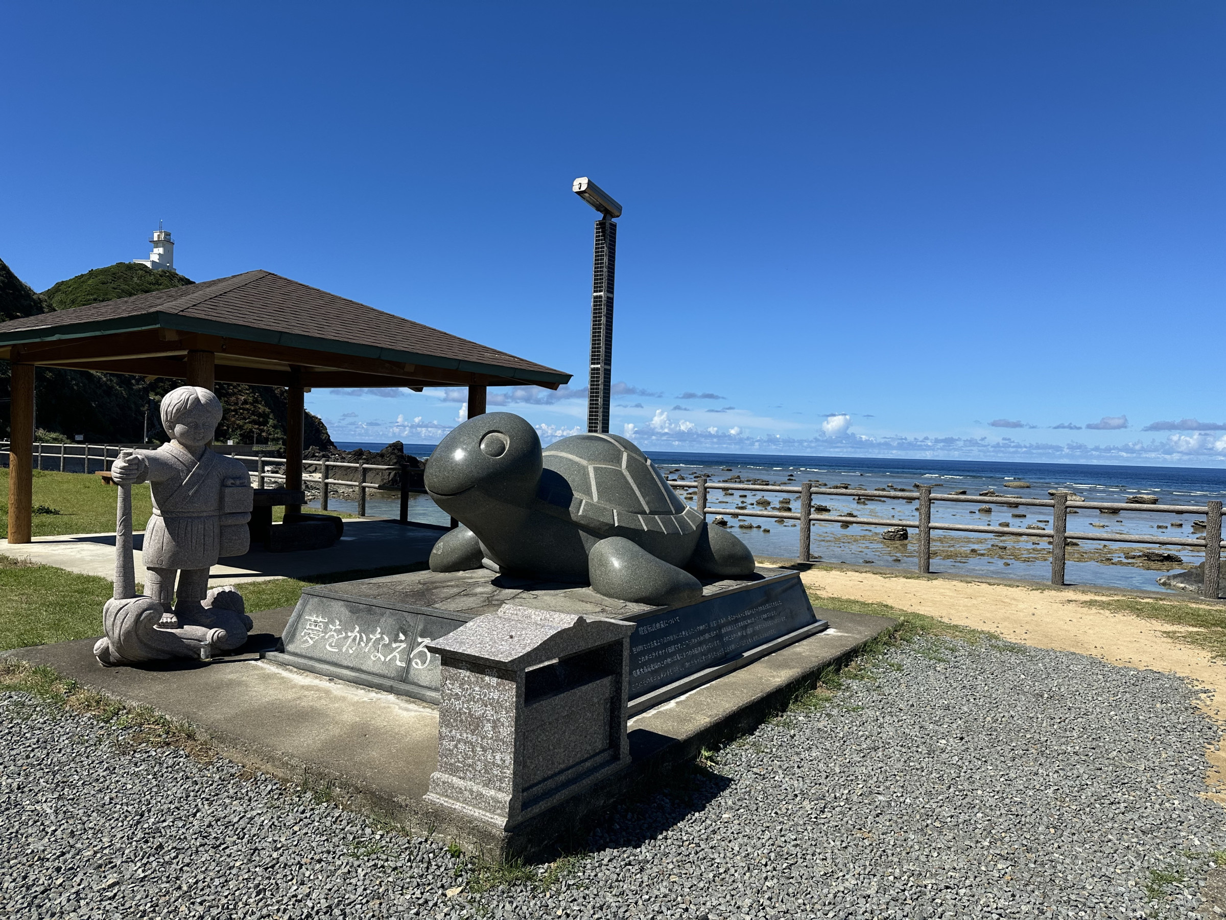 夢をかなえる「カメ」さん