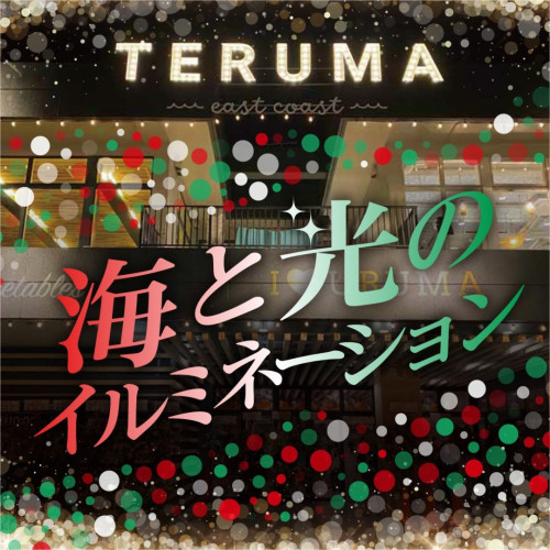 terumaimage1.jpg
