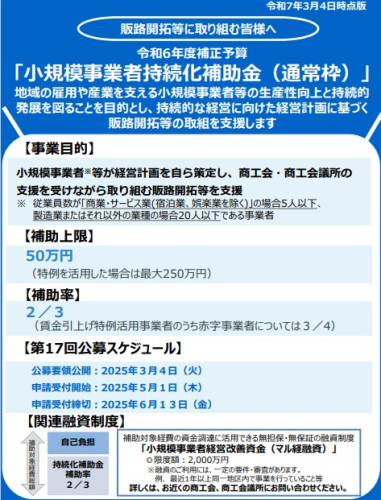 070305持続化補助金チラシ.jpg