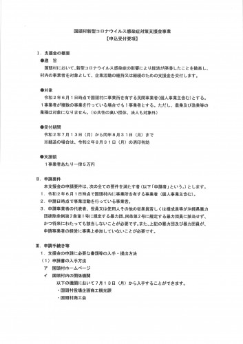 国頭村新型コロナ支援金（表）.jpg