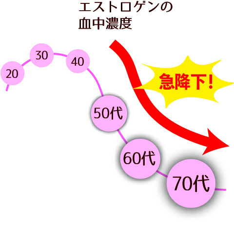 アセット 5@4x-100.jpg