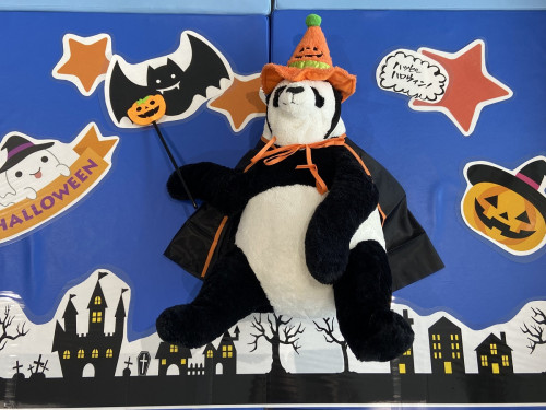 🎃ハッピーハロウィンin境夢みなとターミナル👻