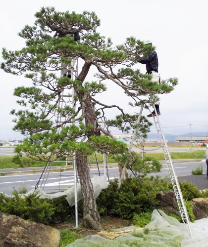 今年もまた・・・