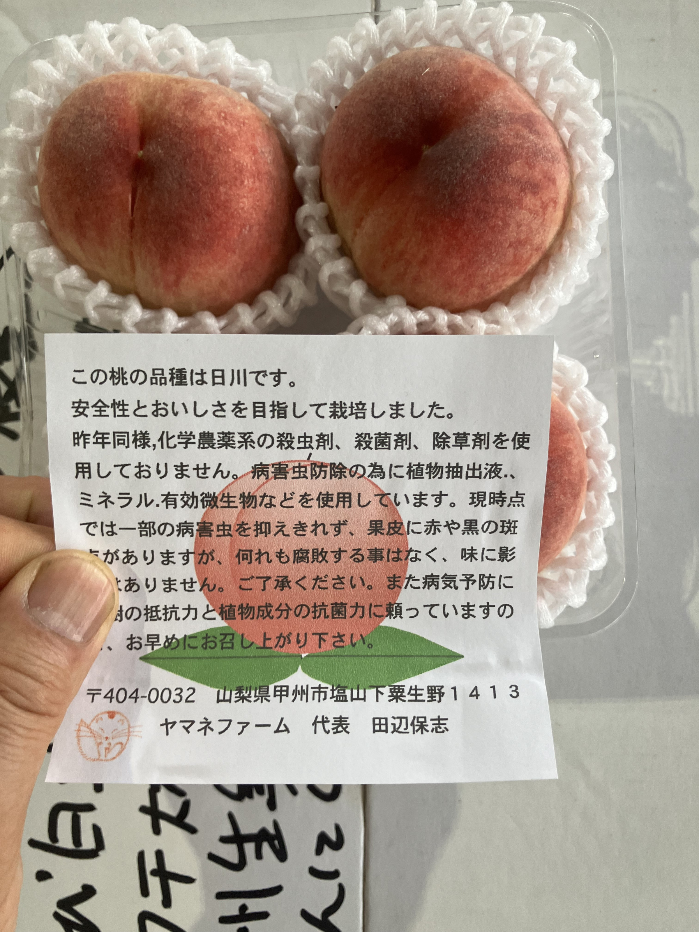 山梨県田辺農園さんの無農薬桃