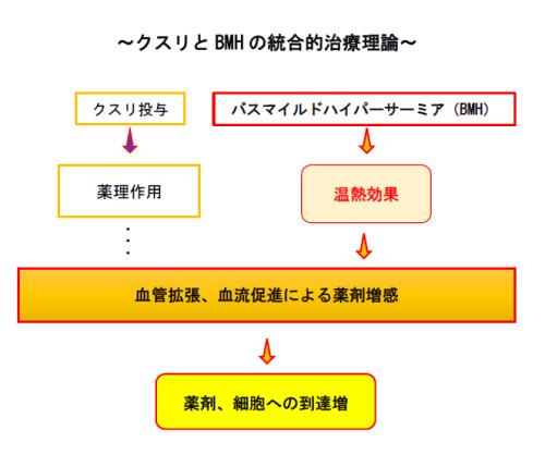 クスリとBMHの統合的治療理論png75.PNG