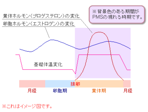 月経前症候群（PMS)png131.png