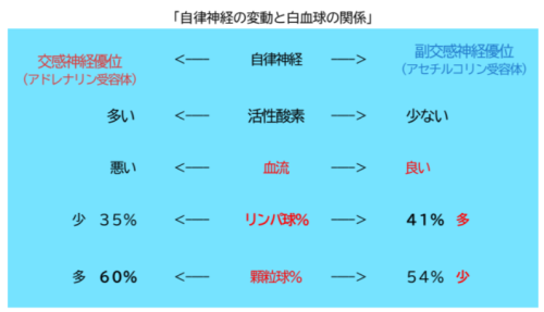 自律神経の変動と白血球の関係　 2024-10-03 142558.png