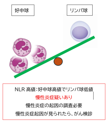 イラスト NLR高 2026-02-23 084750.png