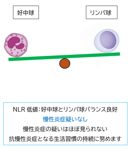 イラスト NLR正常 2026-02-23 084910.png