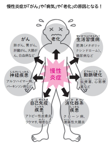 慢性炎症ががんや病気や老化の原因となる 2026-03-14 151029.png