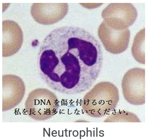 私を過多にしないでください。 2026-04-20 112210.png