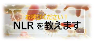NLRを教えます 2026-05-16 103223.png