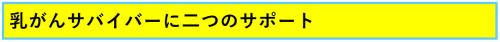 乳がんサポートに二つのサポート 2026-06-04 163839.png