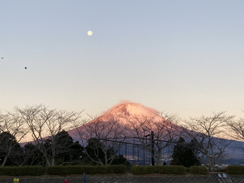 fujisan.jpg