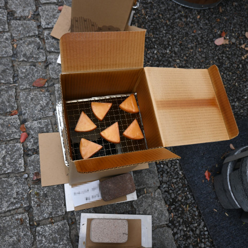 DSC_2698.JPG