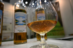 DSC_2748.JPG