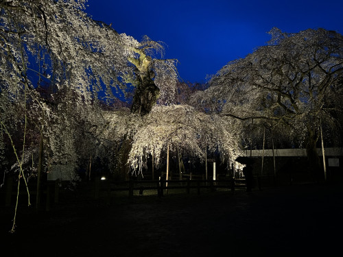 IMG-1280.jpg