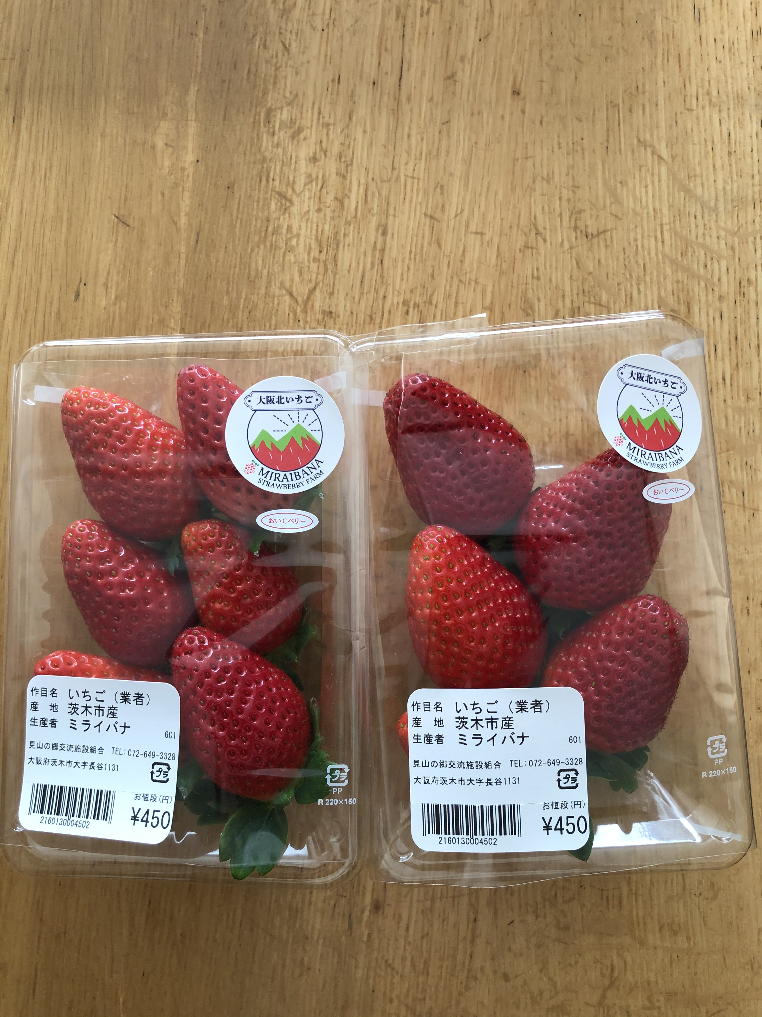 茨木市産のイチゴ