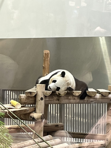 IMG_0230.jpeg