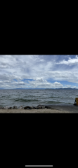 IMG_8339.png