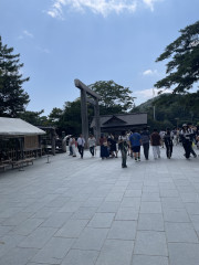 IMG_7870.jpeg