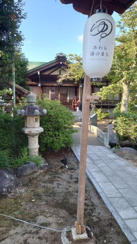 町中を「よるもうで」がスタート