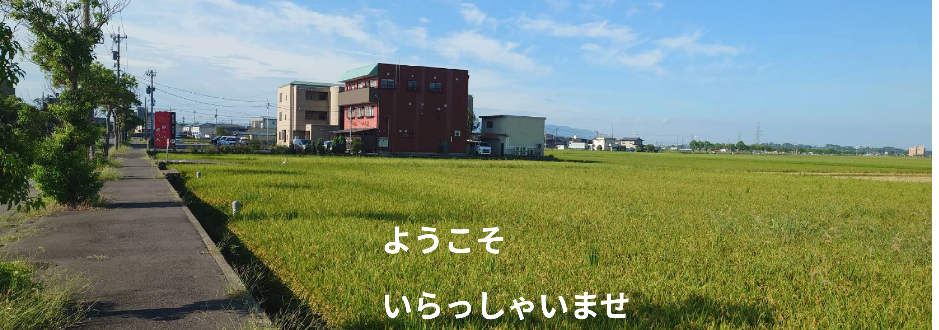 お食事処　八八メインロゴ