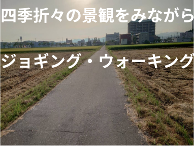 田んぼの中の絶景スポット（272ロード88）