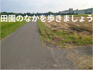 田んぼの中の絶景スポット（272ロード88）