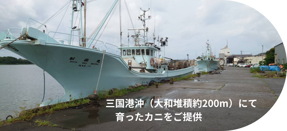 カニ料理