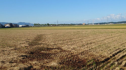 111創業星野リゾートが芦原温泉に宿泊施設を！！