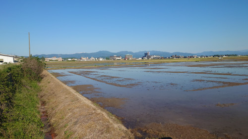 田園の中のあわら温泉
