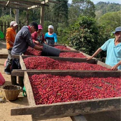 M&C トップ画像 (800 x 800 px) (1).jpg